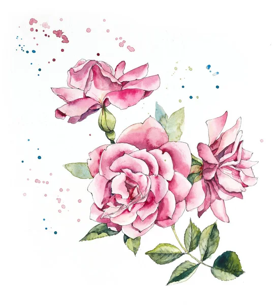Modèle Rose Rose Des Dessins Mariage Aquarelle Cartes Vœux Fond — Photo