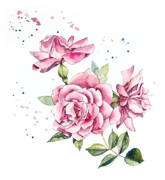 Pattern from pink rose. Wedding drawings. Watercolor painting. Greeting cards. Rose background, watercolor composition. Flower backdrop.