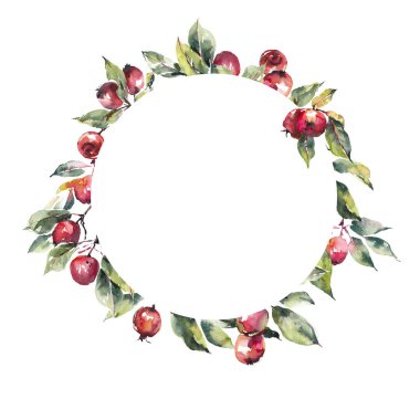 Küçük kırmızı Çin elmalarıyla daire şeklinde. Meyve arkaplanı. Suluboya el çizimi çizimi