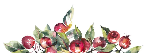 Vignette Red Apples Fall Composition Watercolor Hand Drawn Illustration — Stock Photo, Image