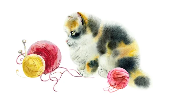 猫和红毛线 小猫捕猎一团线团 手绘水彩画 — 图库照片