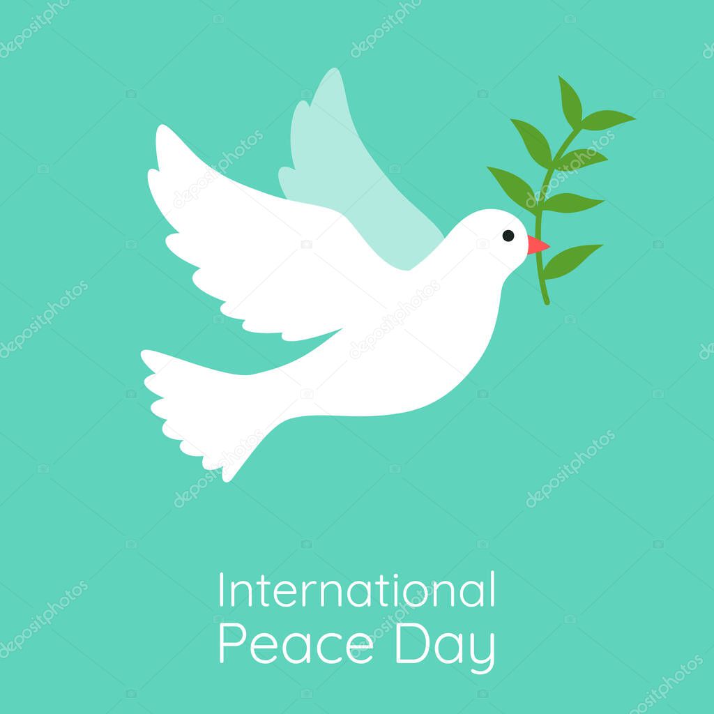 International peace day illustration. White flying dove with green olive branch on green background.