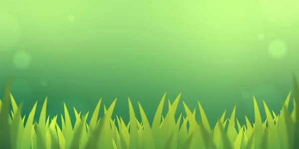 绿草在绿色背景复制空间上的特写 — 图库矢量图片