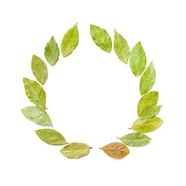 Laurel çelengi beyaz arkaplanda izole edildi.