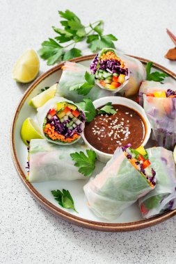 Fıstık ezmesi soslu vejetaryen Vietnam böreği, havuç, salatalık, kırmızı lahana ve pirinç eriştesi. Vejetaryen yemeği.