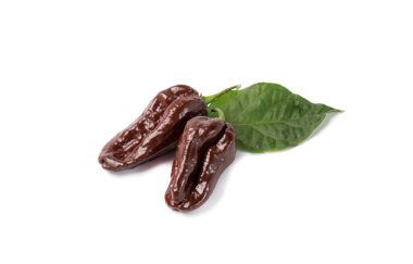 Beyaz arka planda siyah bir habanero.