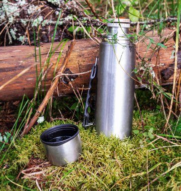 Ormanın derinliklerinde eski ahşap ve yosunların arka planında çay olan termos. Ormanda çay içmek..