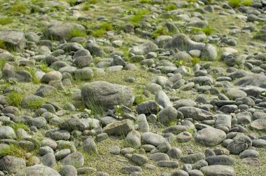 Çim ve taşlar doğal arka plan