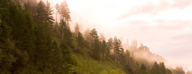 Dağlarda sisli sihirli gündoğumu