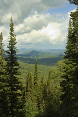 Dağlarda sedir ormanı ile güzel Altay manzara