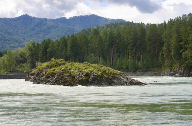 Kayalık nehir Katun ve çam yaz tepe