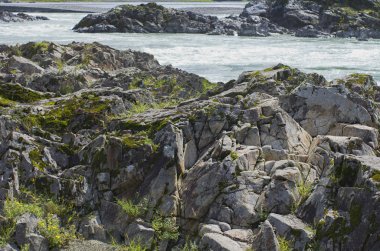 Kayalık nehir Katun doğal görünümü