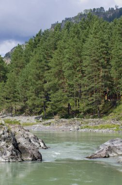 Kayalık nehir Katun doğal görünümü