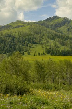 Ağaçlar ve bulutlu gökyüzü ile güzel yeşil yaz dağları.