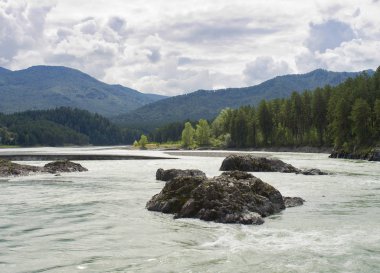 Ağaçlar ve bulutlu gökyüzü ile güzel yeşil yaz dağlarda Fırtına nehri