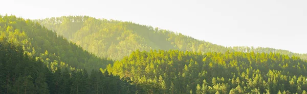 Bella Cima Estiva Verde Della Montagna — Foto Stock