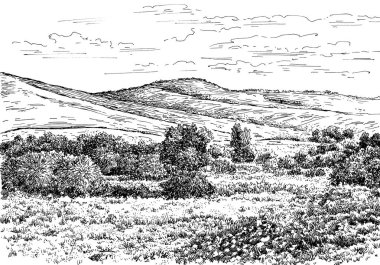 Altai 014