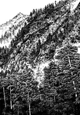 Altai 025