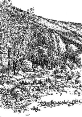 Altai 044