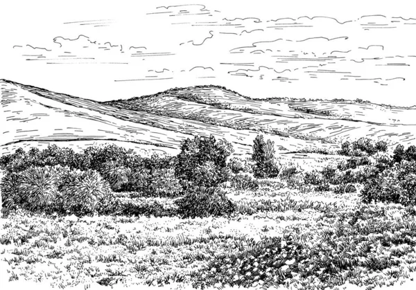 Altai 014