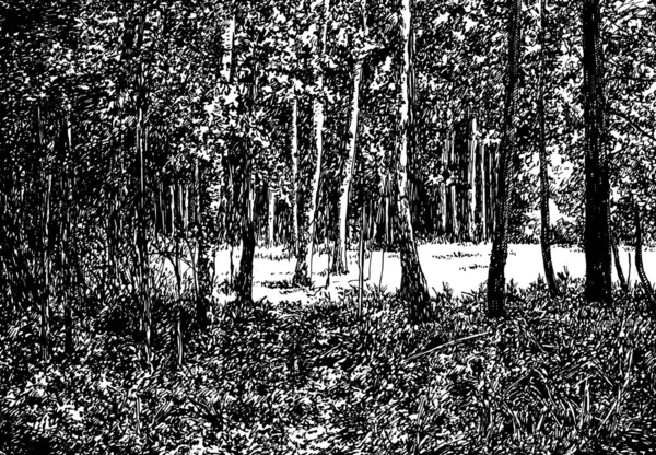 Ліс а — стокове фото