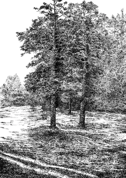 Rus doğa 017