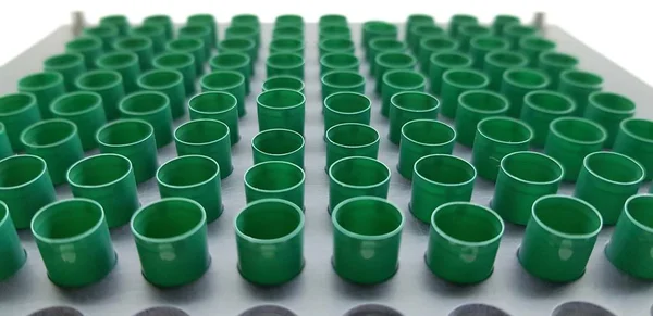 Rozúročených zelených kapsulas — Stock fotografie