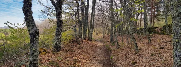 Bergstraße — Stockfoto