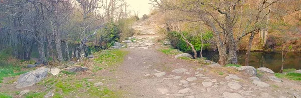 Strada rurale di montagna — Foto Stock