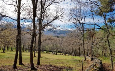 Karlı dağlar manzarası