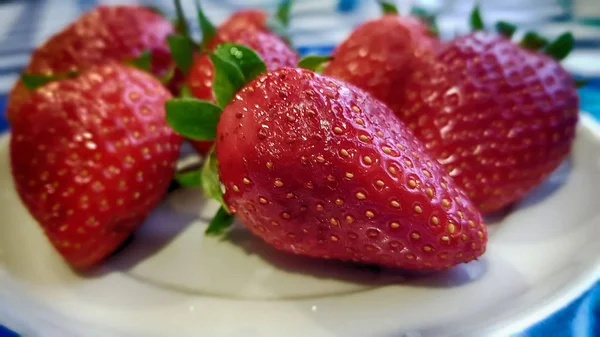 Mehrere Erdbeeren auf einem Teller — Stockfoto