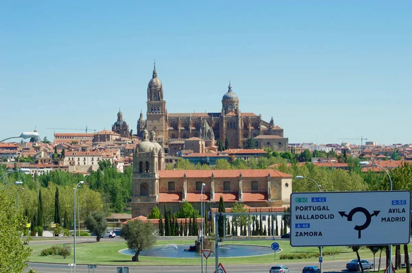 Catedral de Salamanca por la mañana — Foto de Stock