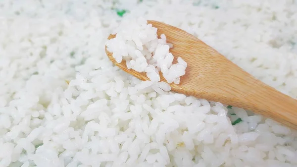 Freshly cooked white rice