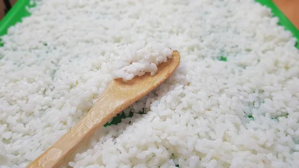 Freshly cooked white rice