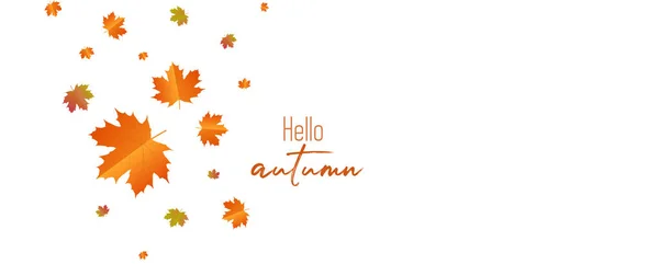 Autumn Calligraphy Background Arranged Leaves — Stock Vector