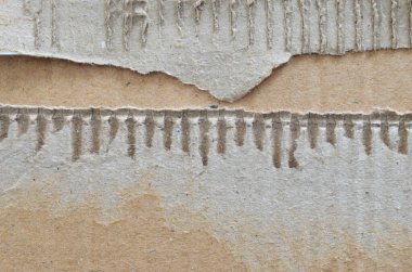 Yırtık dökük kartonlu arkaplan.