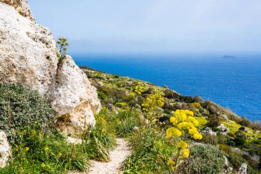 Fotoğraf Akdeniz, Malta ve Dingli Cliffs