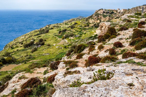 Kuva Dinglin Kallioista Välimerestä Malta — kuvapankkivalokuva