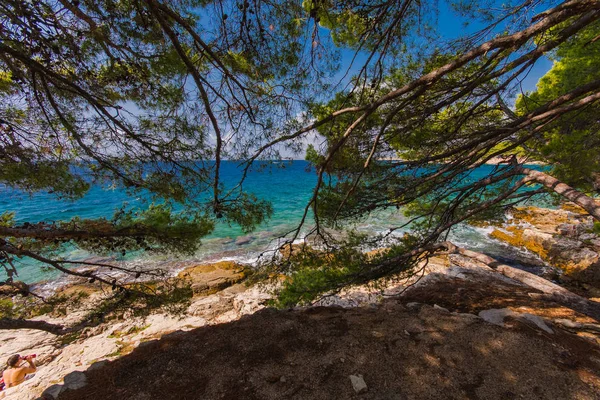 Isla Murter playa laguna turquesa, Dalmacia, Croacia —  Fotos de Stock