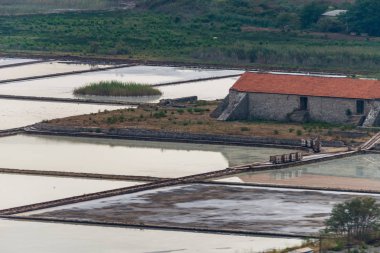 Ston, Peljesac yarımadasında eski hala çalışan deniz tuzu tavaları, Dal