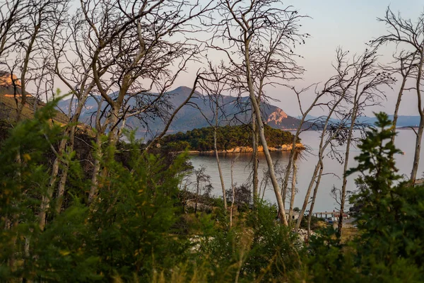 Spálený Les ve vesnici Trstenik, poloostrov Peljesac, Dalmácie, — Stock fotografie