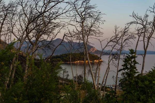 Spálený Les ve vesnici Trstenik, poloostrov Peljesac, Dalmácie, — Stock fotografie