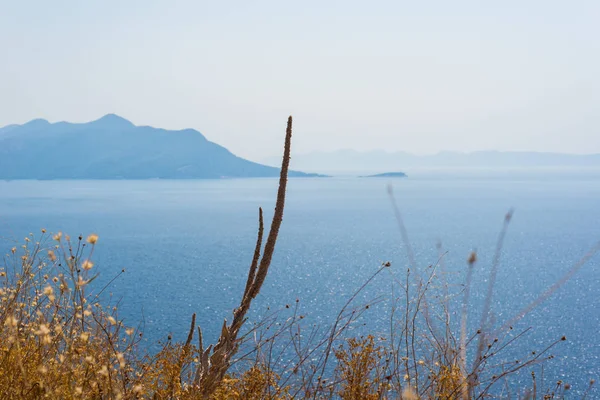 Hermosa costa dálmata, Trstenik, Dalmacia, Croacia, Peljesac — Foto de Stock