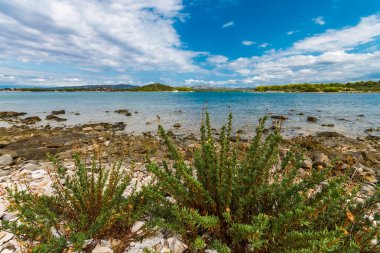 Akdeniz 'de idilik görünümü, Murter, Dalmatia, Hırvatistan