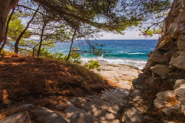 Saari Murter turkoosi laguuni ranta, Dalmatia, Kroatia — kuvapankkivalokuva