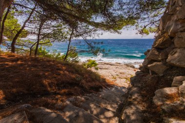 Murter turkuaz lagün plaj, Dalmaçya, Hırvatistan Island