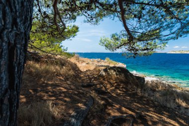 Akdeniz 'de idilik görünümü, Murter, Dalmatia, Hırvatistan