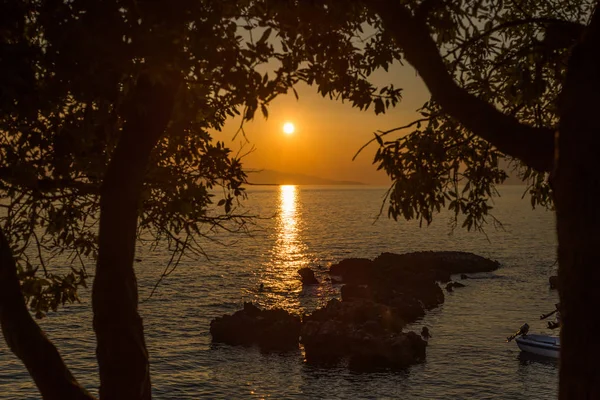 Beau coucher de soleil avec des arbres et des rochers à Dingac Borak, Dalmatie , — Photo