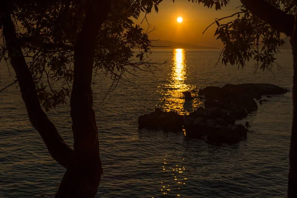 Beau coucher de soleil avec des arbres et des rochers à Dingac Borak, Dalmatie , — Photo