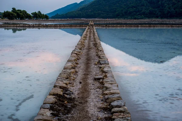 Ston, Peljesac yarımadasında eski hala çalışan deniz tuzu tavaları, Dal